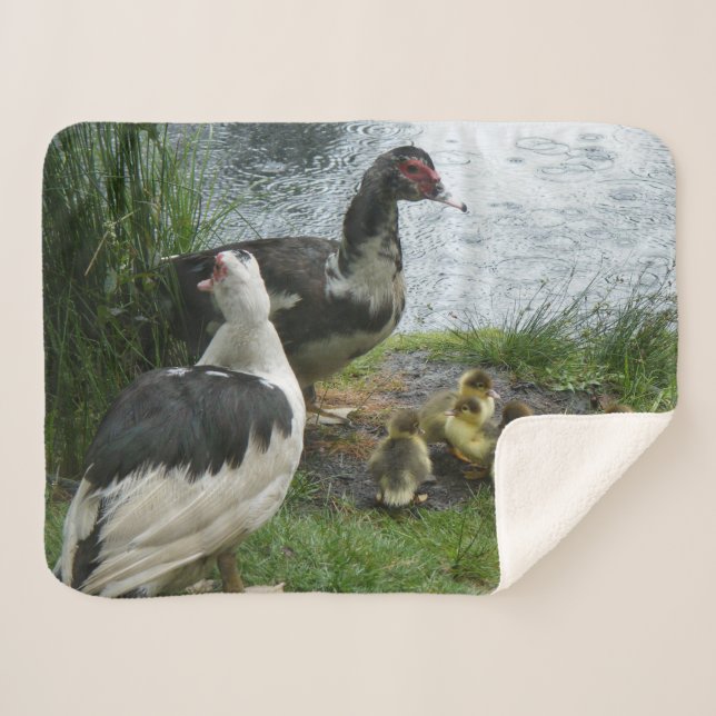 Muscovy-Enten-Familie Sherpadecke (Vorderseite (Horizontal))