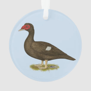 Muscovy-Enten-Schokolade Ornament