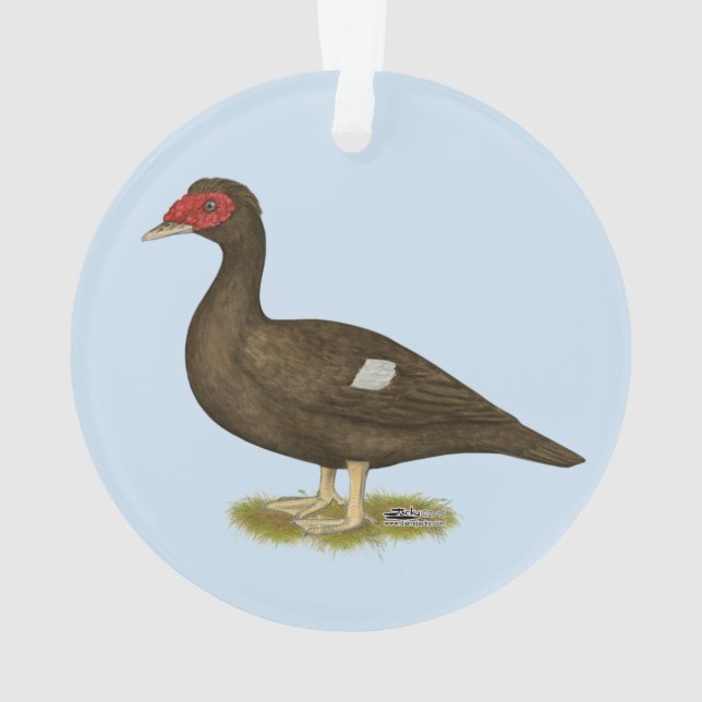 Muscovy-Enten-Schokolade Ornament (Rückseite)