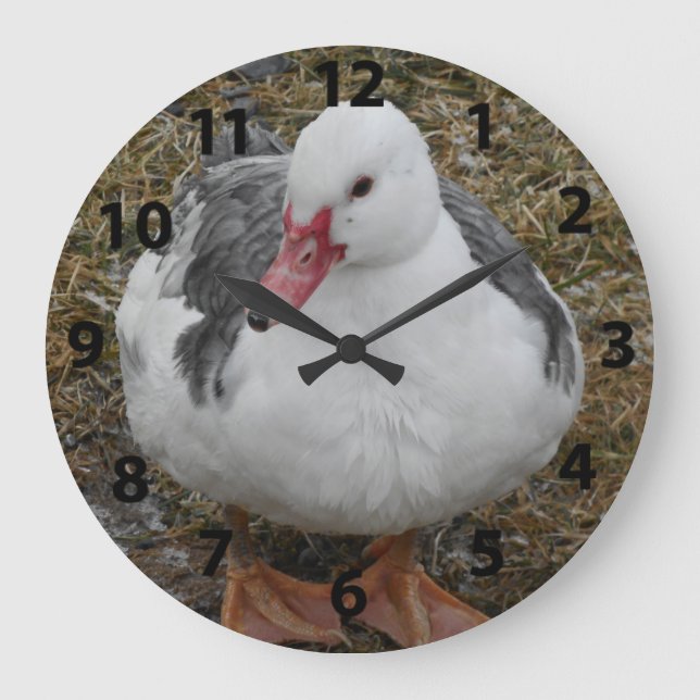 Muscovy-Enten-Uhr Große Wanduhr (Vorderseite)
