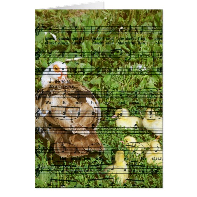 Muscovy Hen und Ducklings mit Duckling Song (Vorne)