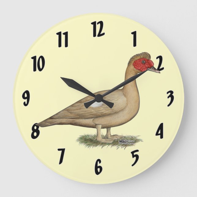 Muscovy Light Chocolate Drake Große Wanduhr (Vorderseite)