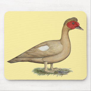 Muscovy Light Chocolate Drake Mousepad