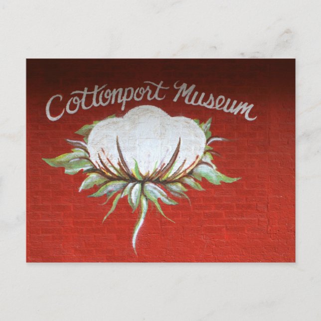 Museum Cottonport Postkarte (Vorderseite)