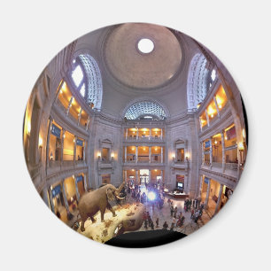 Museum der Naturgeschichte Magnet