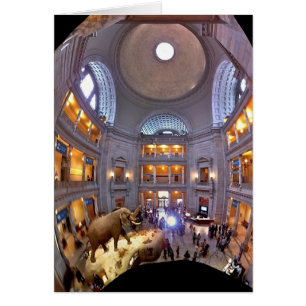 Museum für Naturgeschichte