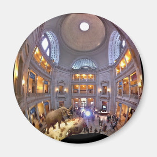 Museum für Naturgeschichte Magnet