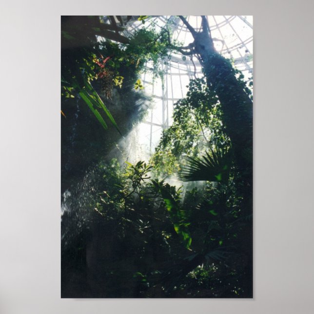 Museum für Wissenschaft und Natur in Houston Poster (Vorne)