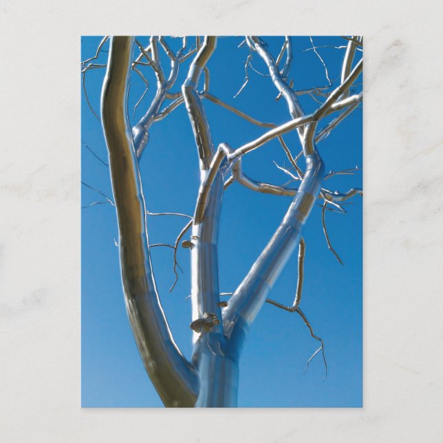 Museum Saint Louis Postkarte (Vorderseite)