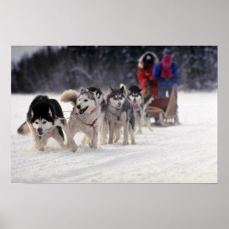Mush Poster
