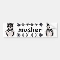 "Musher" Malamute und heisere Schlitten-Hunde