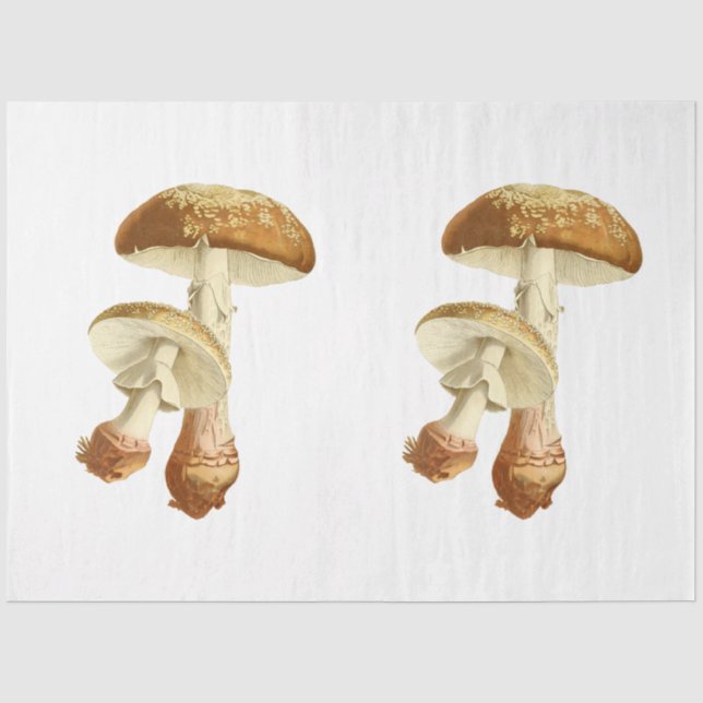 Mushroom Ephemera Design Series #26 Seidenpapier (Vorderseite)