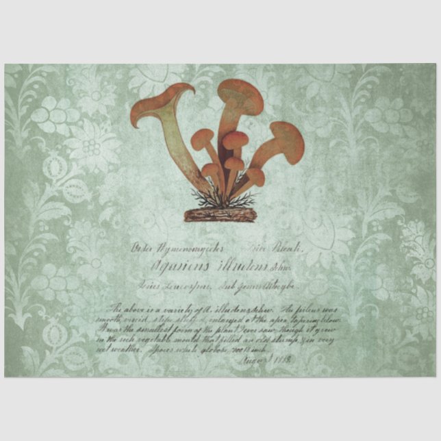 Mushroom Ephemera Design Series #2 Seidenpapier (Vorderseite)