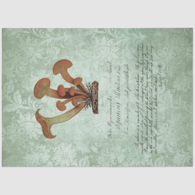 Mushroom Ephemera Design Series #2 Seidenpapier (Vorderseite)