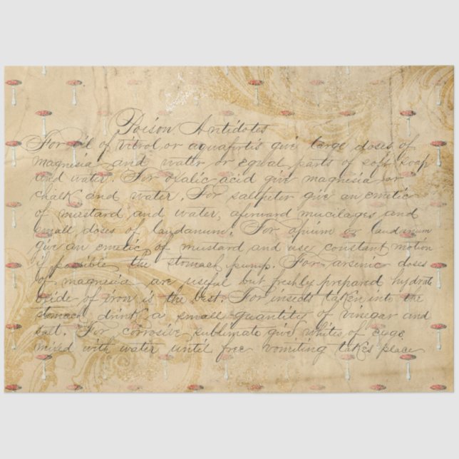 Mushroom Ephemera Design Series #5 Seidenpapier (Vorderseite)