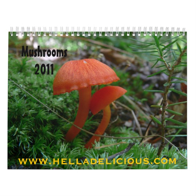 Mushroom-Kalender Kalender (Titelbild)