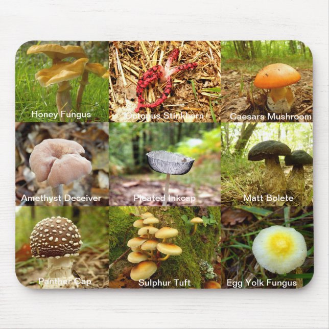 Mushroom Mousemat Mousepad (Vorne)