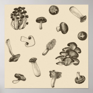 Mushroom-Muster Poster