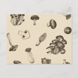 Mushroom-Muster Postkarte