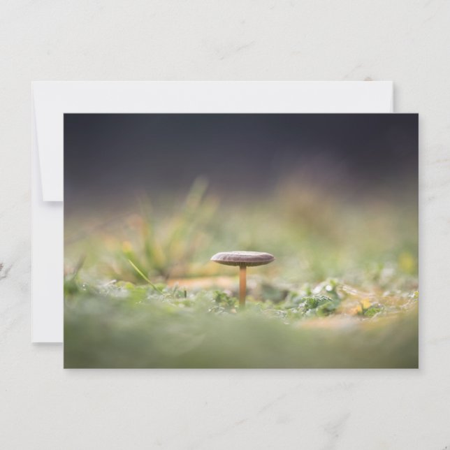 Mushroom Nature Foto Card (Vorderseite)