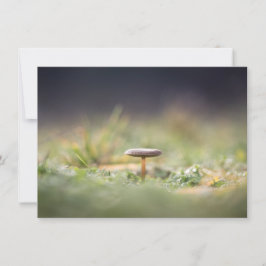 Mushroom Nature Foto Card