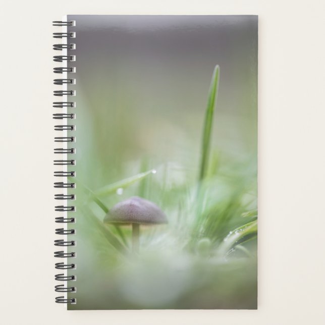 Mushroom Nature Foto Planer (Vorderseite)