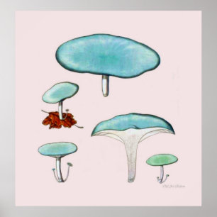 Mushroom-Plakatserie Poster