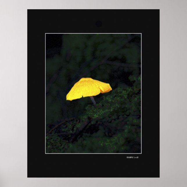 Mushroom Poster (Vorne)