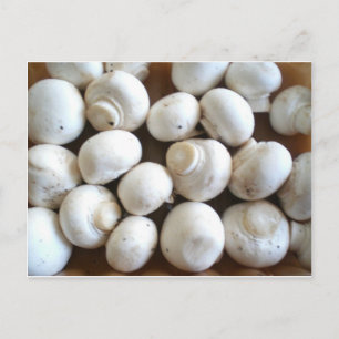Mushroom Postkarte