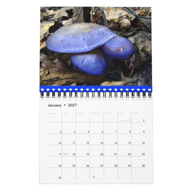 Mushroom Rainbow 2013 Kalender (Jan 2027)