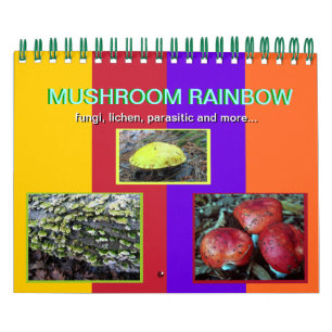 Mushroom Rainbow 2014 Kalender