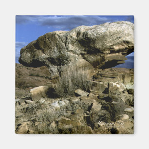Mushroom Rock Color Foto Magnet