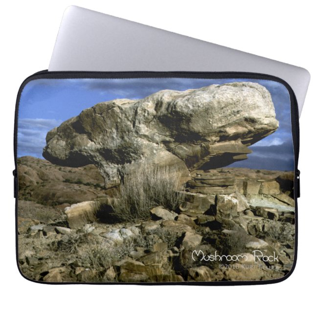 Mushroom Rock Laptopschutzhülle (Vorderseite)