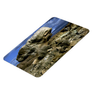 Mushroom Rock Magnet