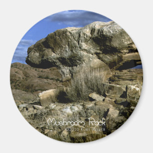 Mushroom Rock Magnet