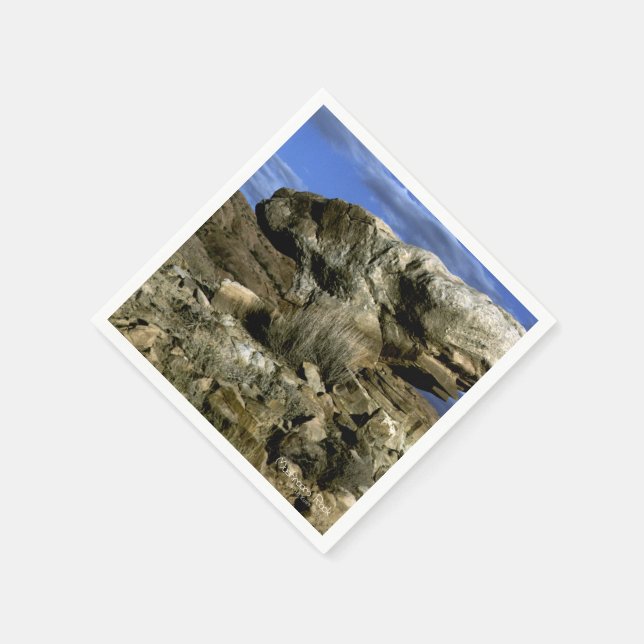 Mushroom Rock Serviette (Ecke)