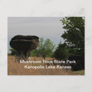 Mushroom Staat Park Kanopolis Lake POST CARD Postkarte