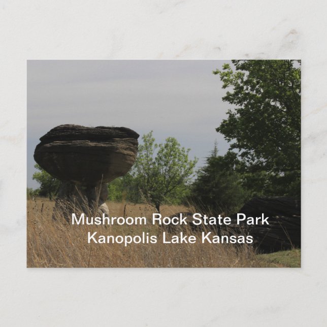 Mushroom Staat Park Kanopolis Lake POST CARD Postkarte (Vorderseite)