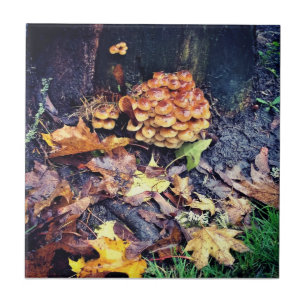 Mushroom Village Fliese