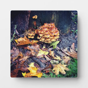 Mushroom Village Fotoplatte