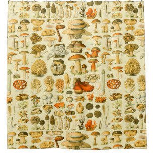 Mushroom Vintag Toadstool Antike Illustration Duschvorhang