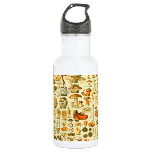 Mushroom Vintag Toadstool Antike Illustration Edelstahlflasche