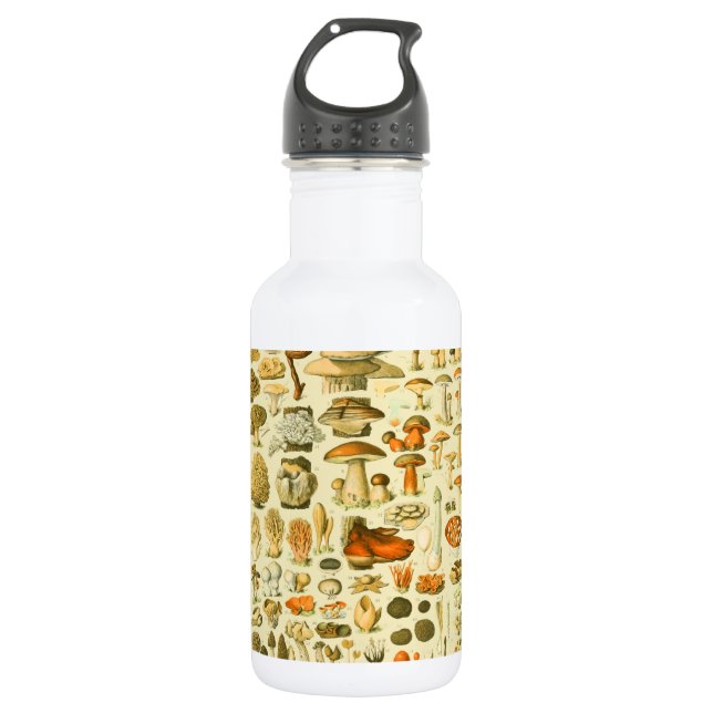 Mushroom Vintag Toadstool Antike Illustration Edelstahlflasche (Vorderseite)