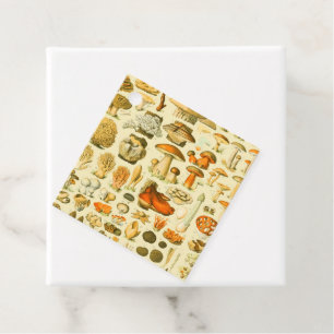 Mushroom Vintag Toadstool Antike Illustration Geschenkanhänger