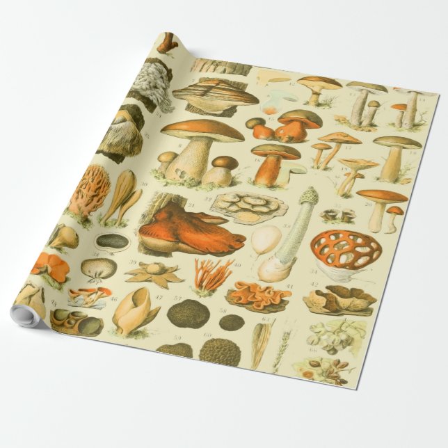 Mushroom Vintag Toadstool Antike Illustration Geschenkpapier (Ungerollt)