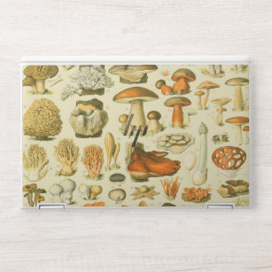 Mushroom Vintag Toadstool Antike Illustration HP Laptop-Aufkleber