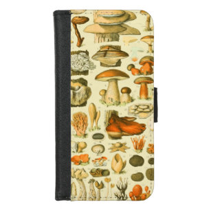 Mushroom Vintag Toadstool Antike Illustration iPhone 8/7 Geldbeutel-Hülle
