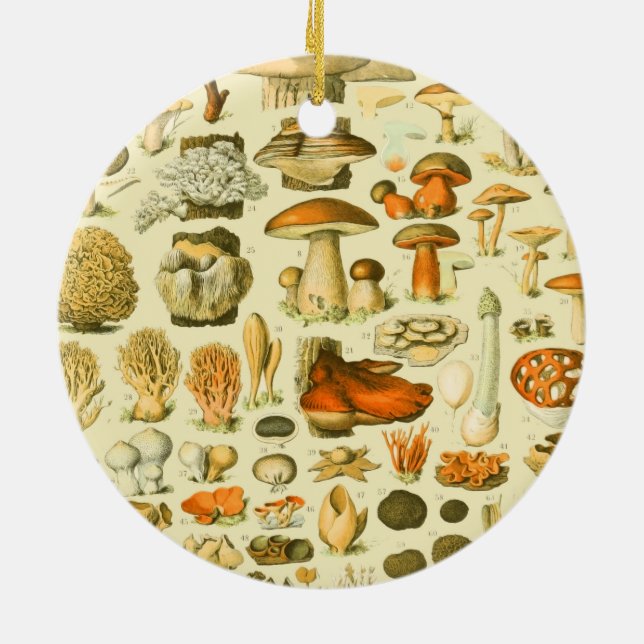 Mushroom Vintag Toadstool Antike Illustration Keramik Ornament (Hinten)