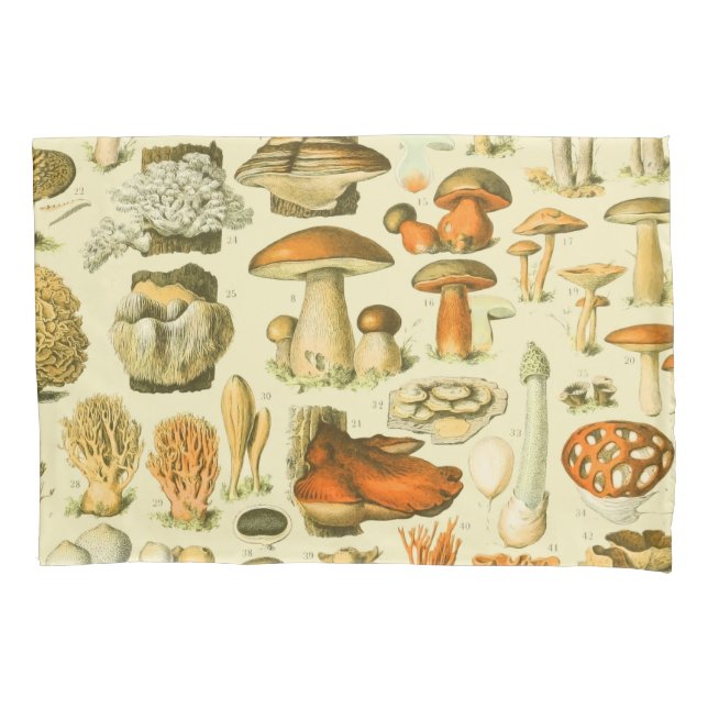 Mushroom Vintag Toadstool Antike Illustration Kissenbezug (Vorderseite)