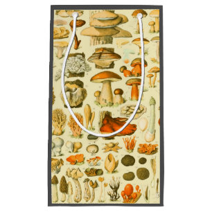 Mushroom Vintag Toadstool Antike Illustration Kleine Geschenktüte